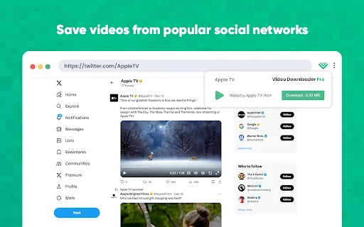 Video Downloader Pro: Pinakamabilis na Video Downloader para sa Chrome - Screenshot 3
